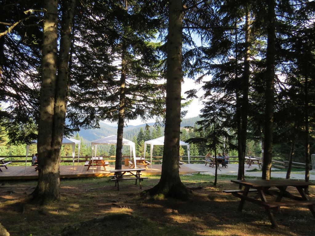 Jura Hotels Ilgaz Mountain Resort Zewnętrze zdjęcie