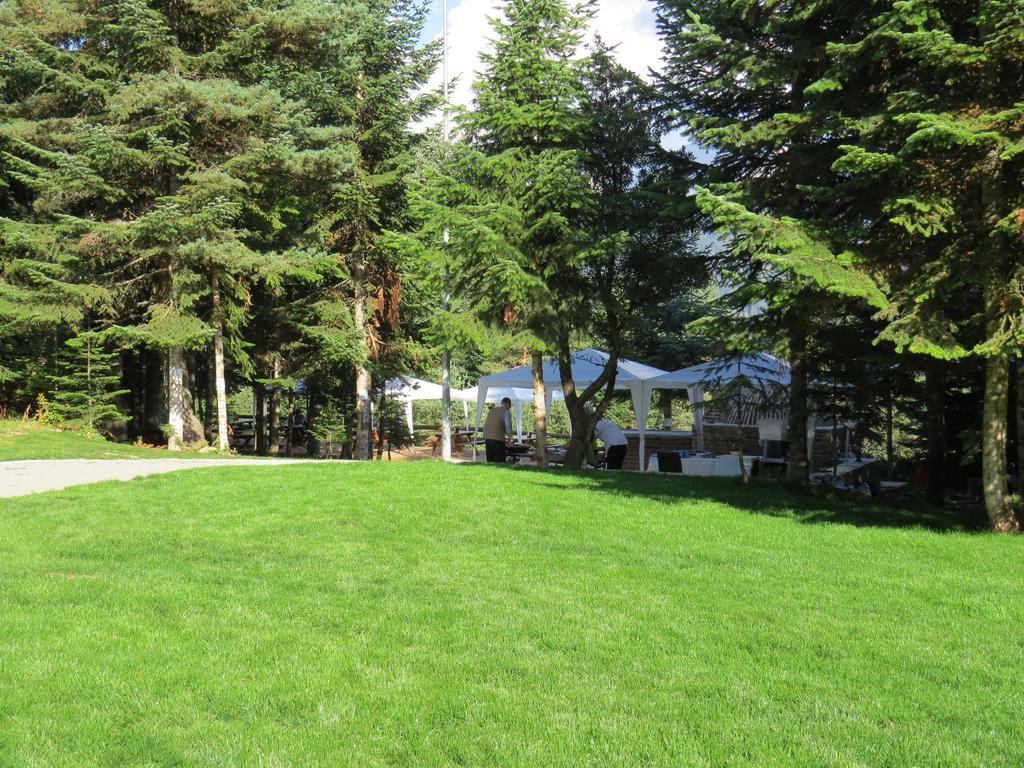 Jura Hotels Ilgaz Mountain Resort Zewnętrze zdjęcie