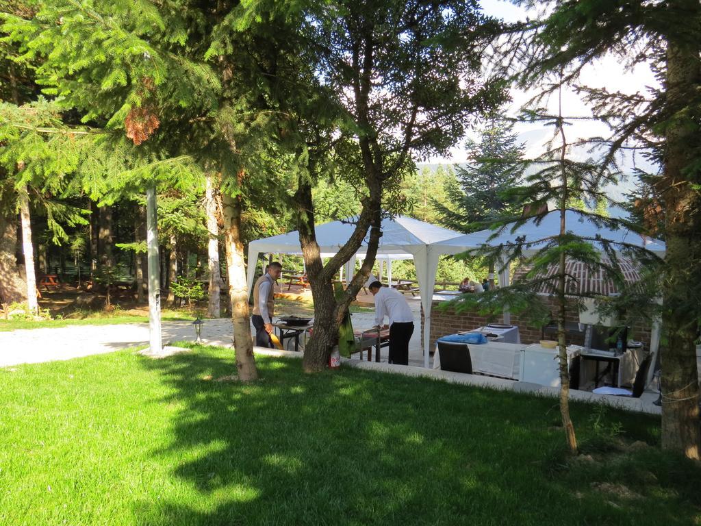 Jura Hotels Ilgaz Mountain Resort Zewnętrze zdjęcie