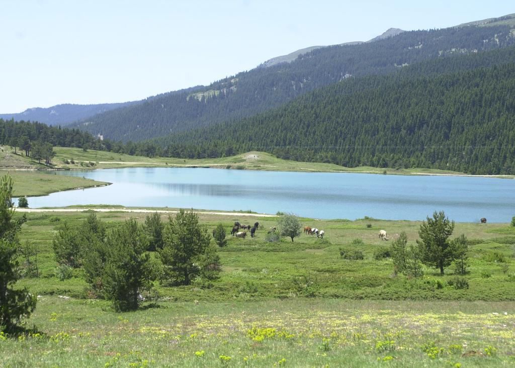 Jura Hotels Ilgaz Mountain Resort Zewnętrze zdjęcie
