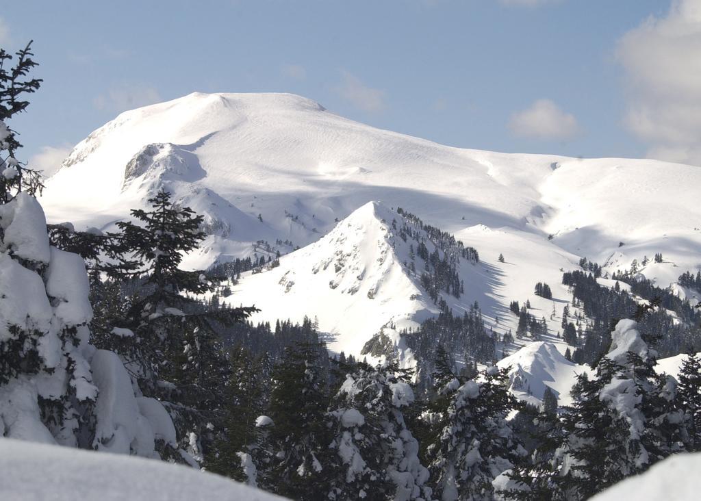 Jura Hotels Ilgaz Mountain Resort Zewnętrze zdjęcie