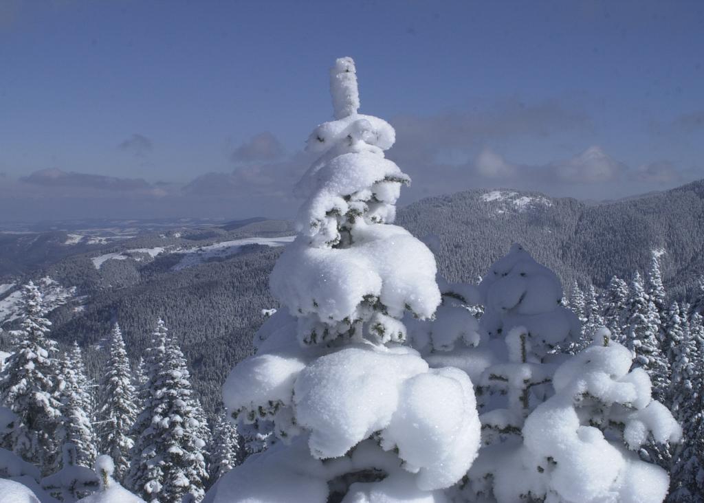 Jura Hotels Ilgaz Mountain Resort Zewnętrze zdjęcie