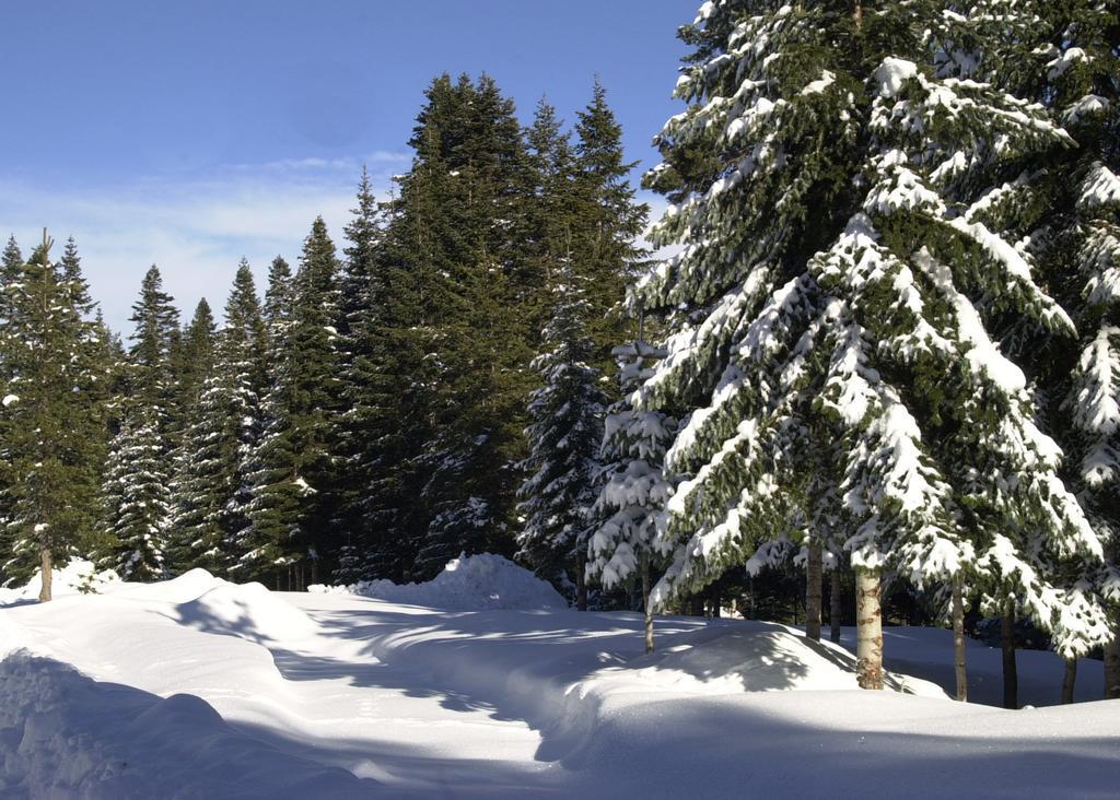 Jura Hotels Ilgaz Mountain Resort Zewnętrze zdjęcie