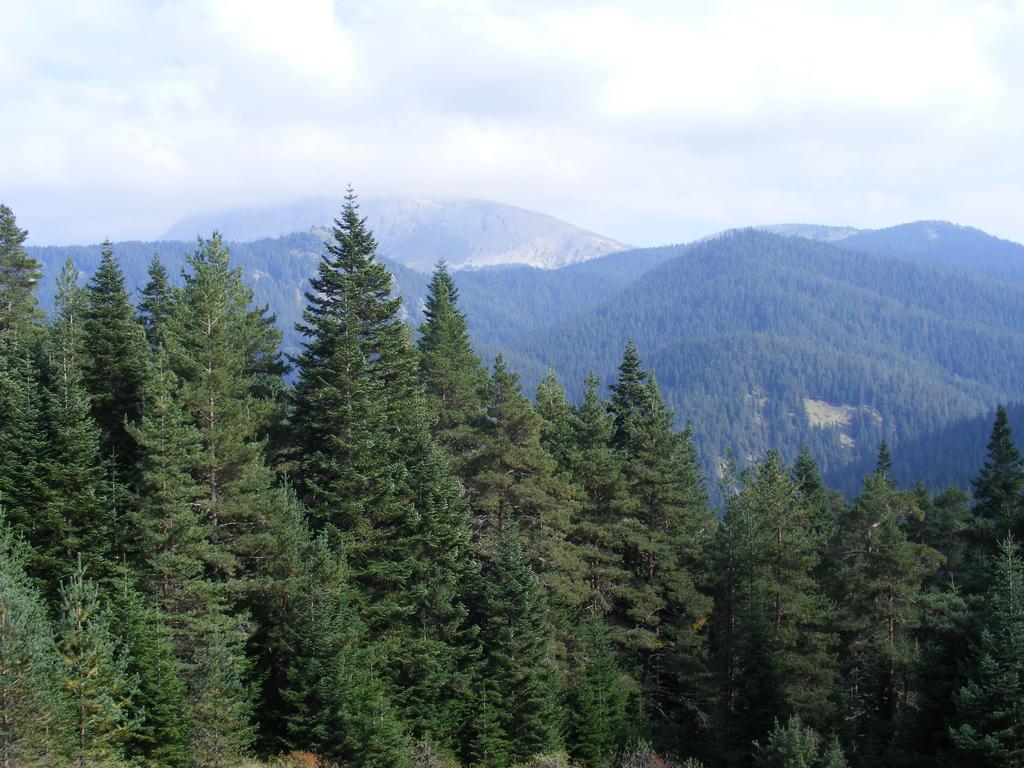 Jura Hotels Ilgaz Mountain Resort Zewnętrze zdjęcie
