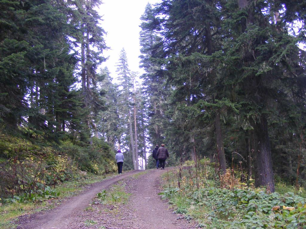Jura Hotels Ilgaz Mountain Resort Zewnętrze zdjęcie