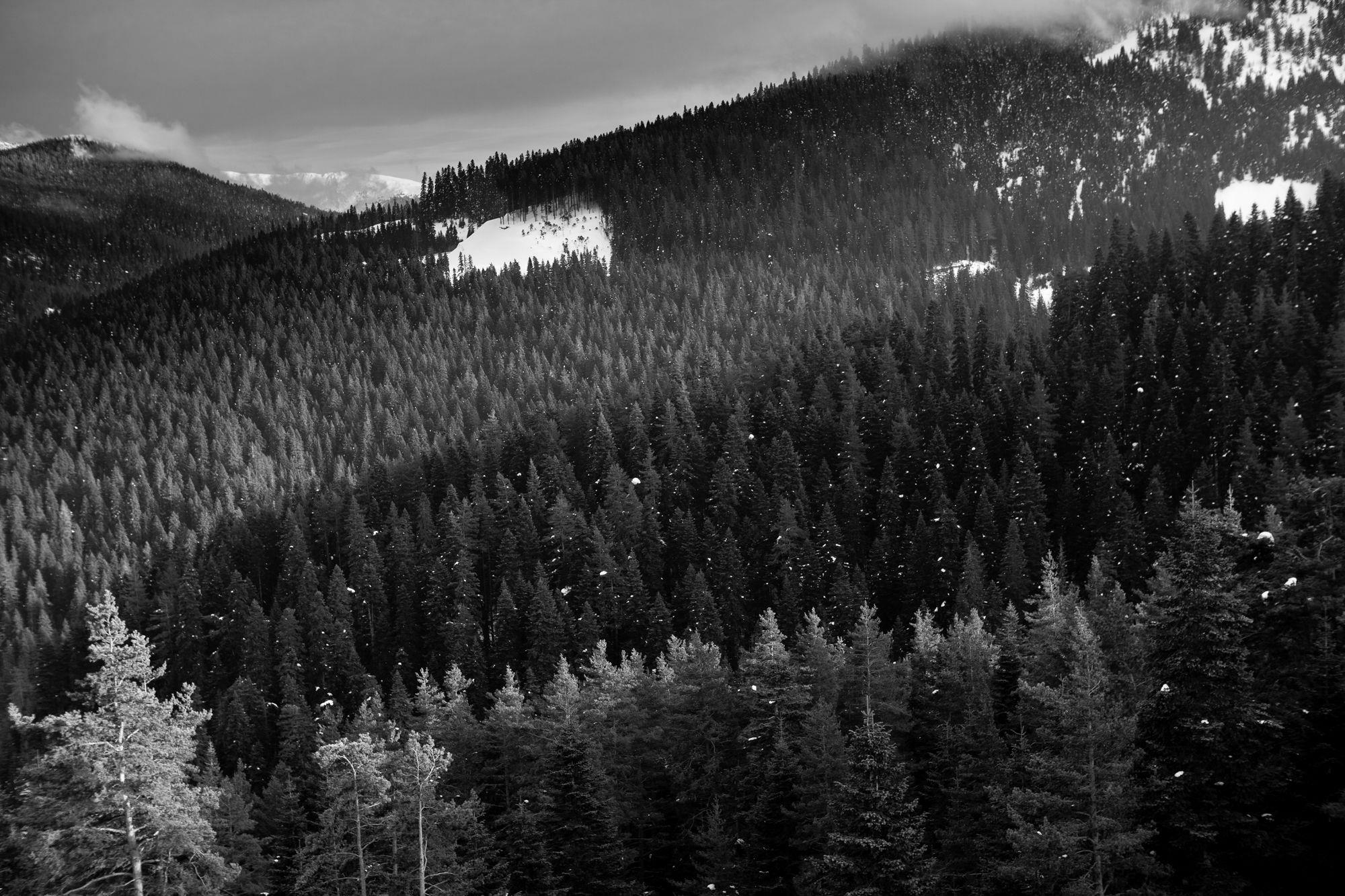 Jura Hotels Ilgaz Mountain Resort Zewnętrze zdjęcie